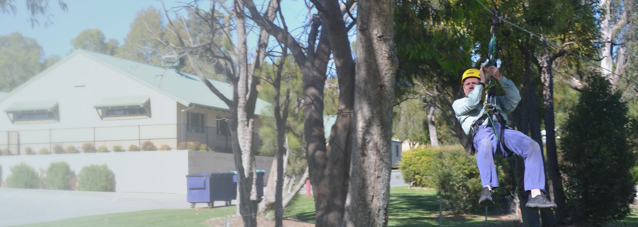 Man testing a flying fox